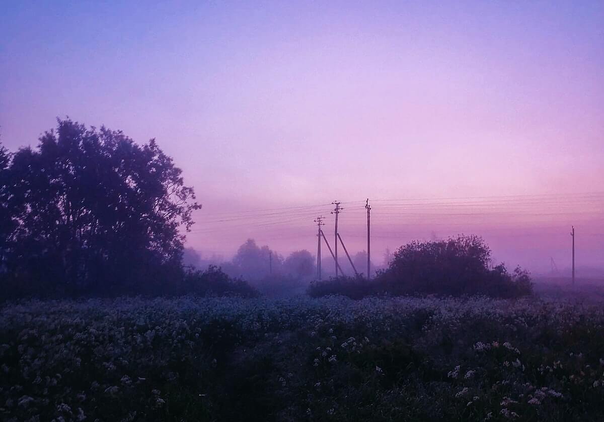进入九游世界：九游登录入口带你畅游海量游戏的秘密